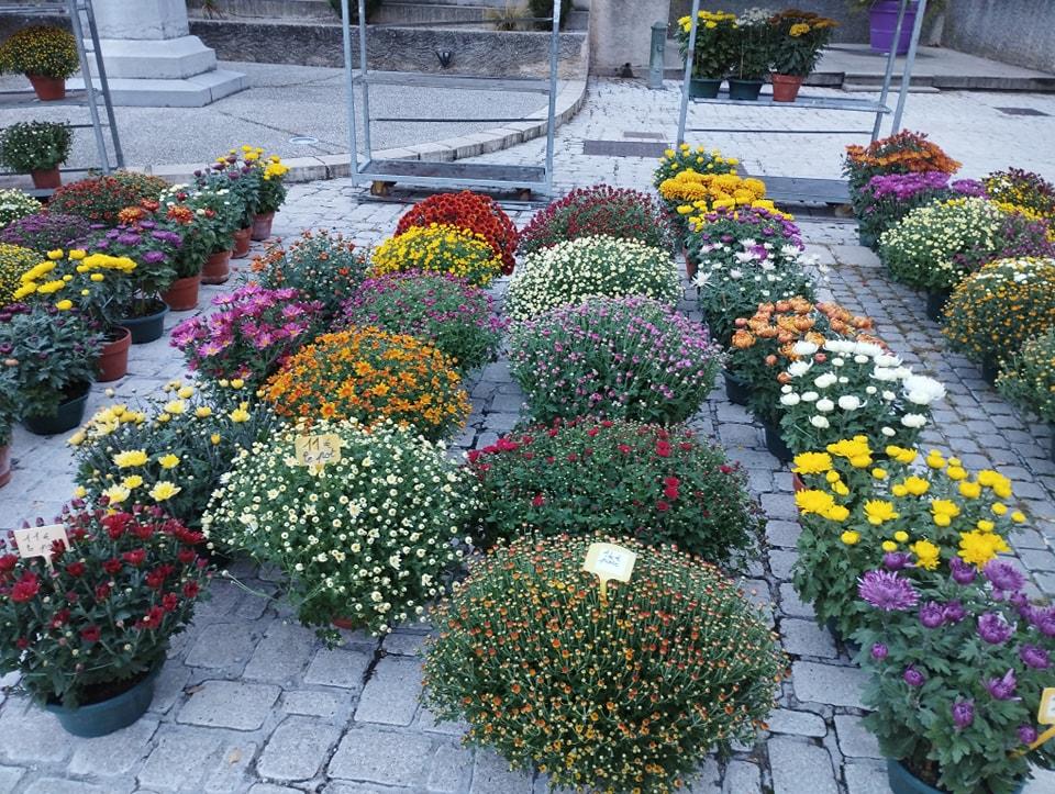 fleurs