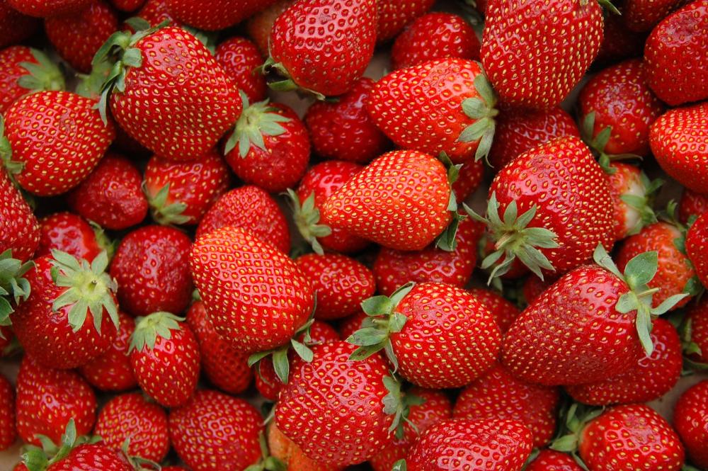fraises