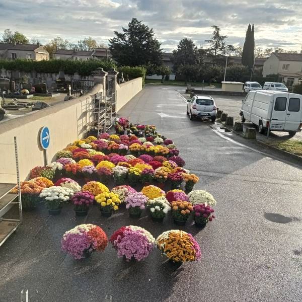 choix de rosiers